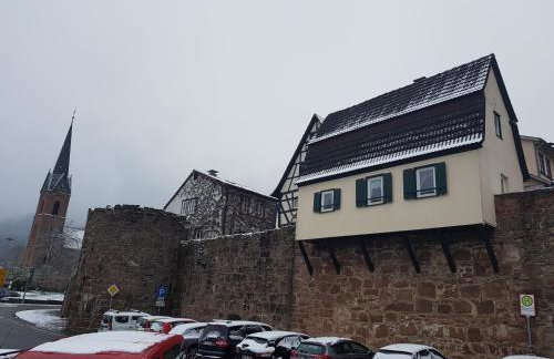 Zauberhafte Wohnung in der Nähe von Heidelberg, top Lage - Foto 40