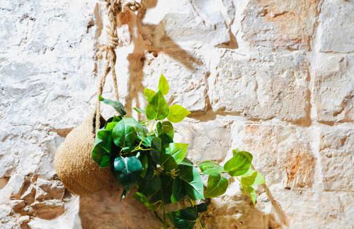 Gasparro House - Foto 11