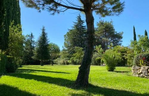 le vieux pont - Foto 30