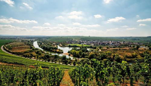 Main-Nest Volkach - Photo 5