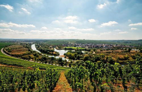 Main-Nest Volkach - Foto 5