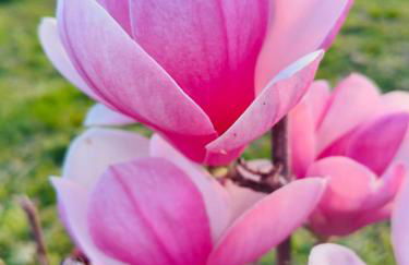 Bistrot del mare - Foto 72