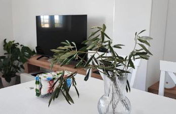 All'ombra del pino ALLOGGIO TURISTICO - Foto 23