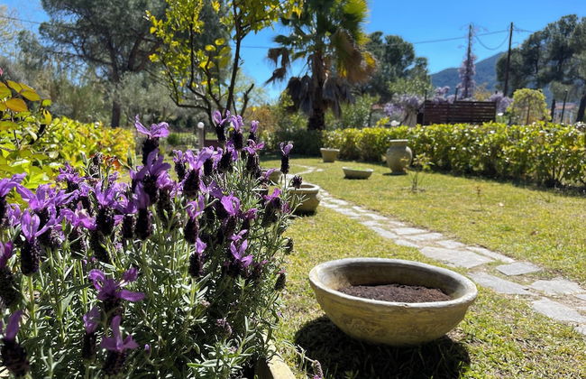 Stylish Maisonette With 3 Bedrooms in Vourvourou, Greece - Foto 49