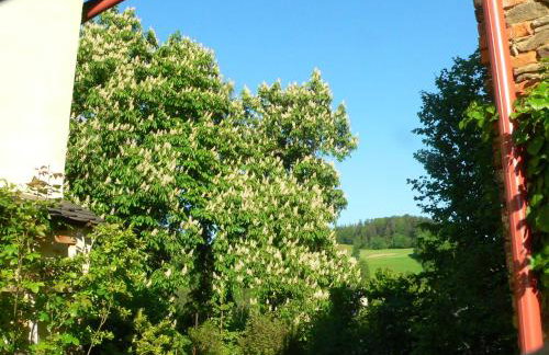 STARA PLEBANIA - Foto 30