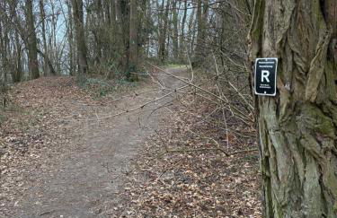 ChrisTho - Am Rheinsteig - Foto 27