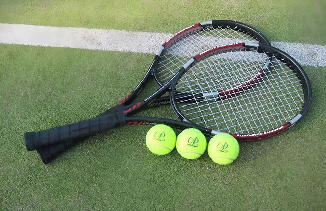 The Prince Villa Karuizawa - Foto 40