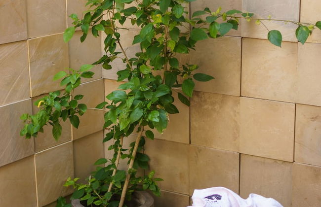 Villa Ronggo Mayang Bali - Foto 19