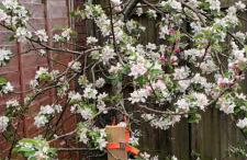 The West Wick House - Foto 34