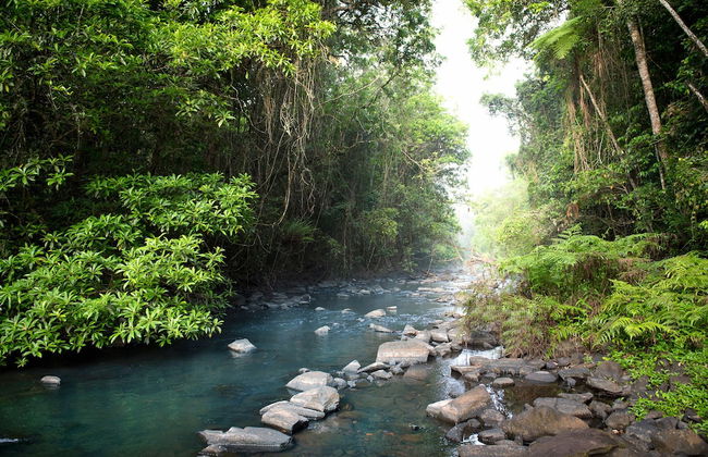 Sharlynn by the River - Foto 26