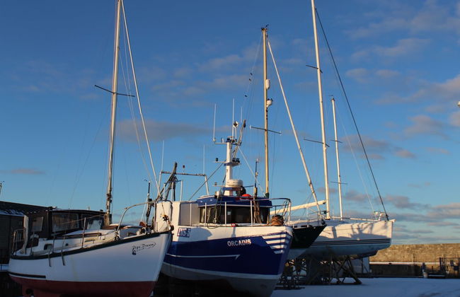 Beachfront Panoramic Seaview Free Wifi & Parking - Photo 28