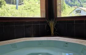 Chez Charles | Vallorcine Viachamonix - Foto 44