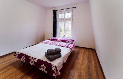 Domki Nad Stawami Apartament - Foto 9