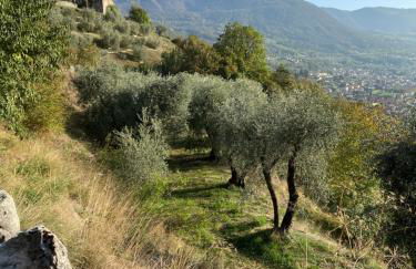 Holiday home Punta D'Oro with garden, parking place and lake access at 300 m - Foto 55