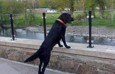 Riverside Retreat - Photo 57