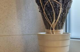 outsideIN Lightstudio - Photo 21