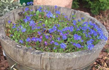 LELE-LAKE super domek Mazury - Photo 9