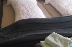 Landhaus Löwenzahn - Foto 27