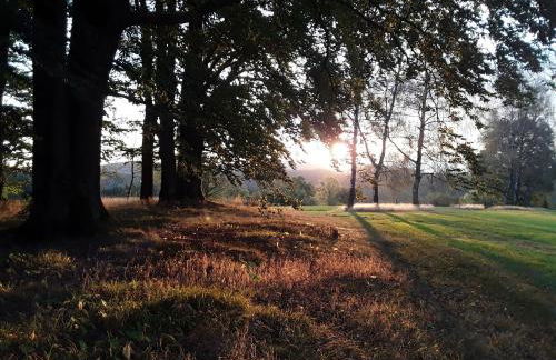 Apartment am Buchenhain - Foto 35