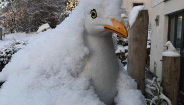 Strandgut und Feuerstein - Foto 5
