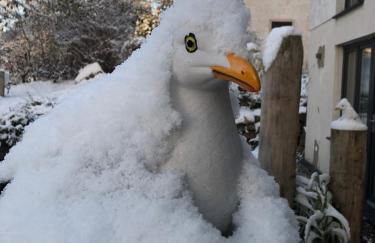 Strandgut und Feuerstein - Foto 5