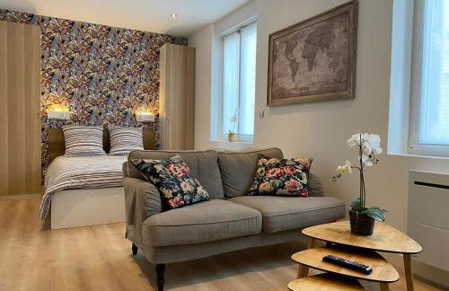 Studio 28m2 avec parking privé - Lycée Roosevelt - Arena - Gare - Foto 9