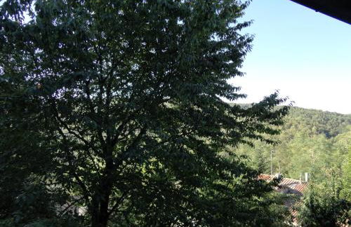 La Lamponaia - Foto 30