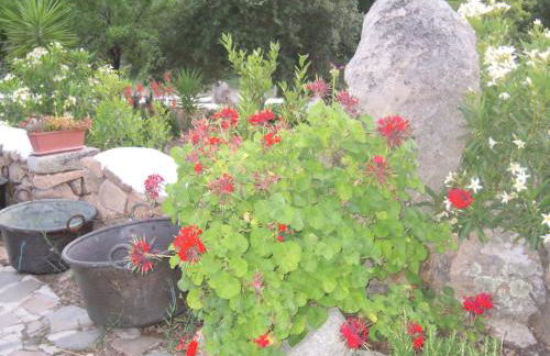 Agriturismo Camisadu - Foto 76