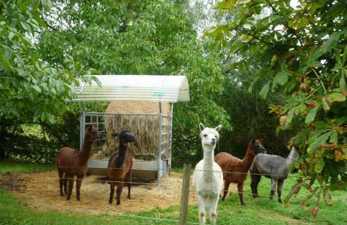 Ferienwohnungen Hof Heiderich - Foto 38
