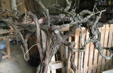 Villa Baronzola - Foto 46