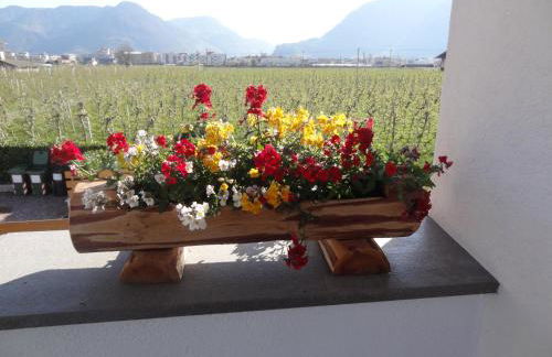 Apartments Klotz - Foto 8