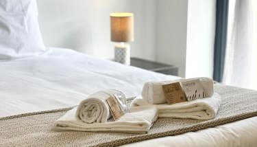 Le Pin, Centre-ville - La Tremblade - Photo 1, towels