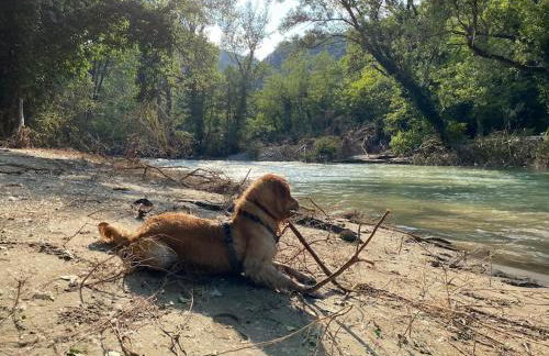 TOT'I Dè BARACA - Photo 39