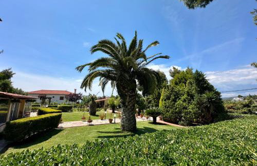 Agrili Apartments & Rooms - Photo 46