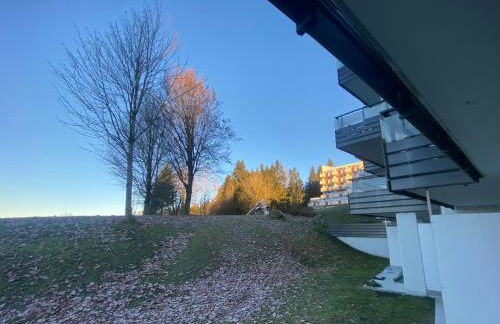 FeWo Pool, Sauna, Wellness, Gartenterrasse ENGELMEER - Foto 18