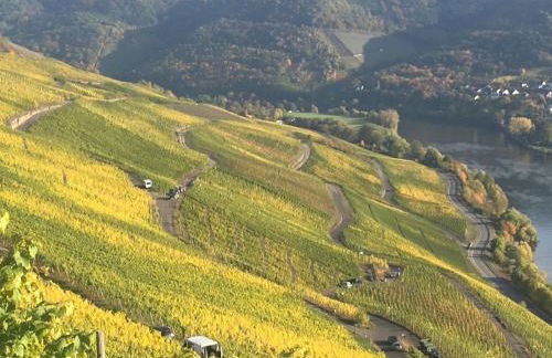 SYBILLE KUNTZ Weingut Gästehaus - Foto 31