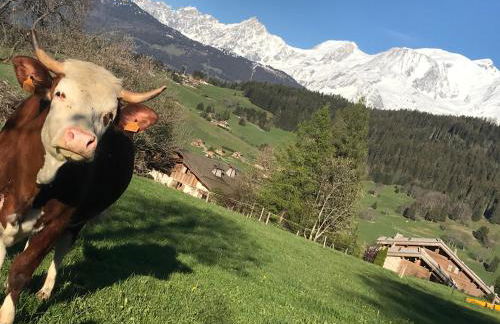 Charmant Mazot Le 1881 4 pers - Foto 9