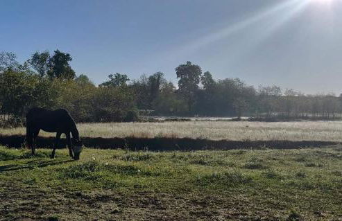 Agriturismo Helianthus - Foto 55