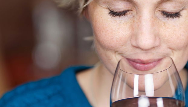 Degustazione di vino a Bologna