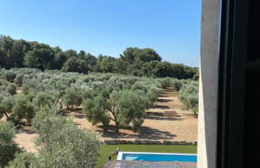 Le petit cabanon en Provence - Foto 11