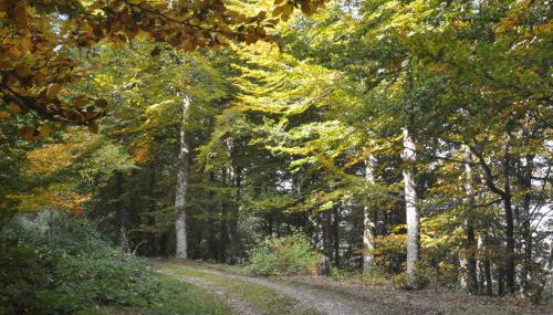 Apartamentos Rurales Casa Baltasar - Foto 2