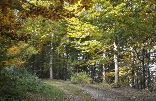 Apartamentos Rurales Casa Baltasar - Foto 2