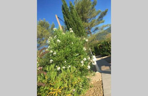 maisonette Cosi - Foto 45