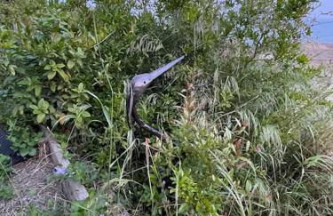 Superbe terrasse avec vue panoramique sur la mer - Foto 72