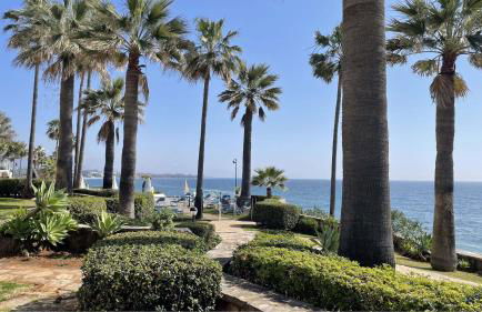 VIP Dominion Beach Estepona - Photo 15