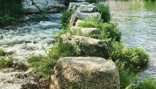 Casa do avô Serafim - Foto 5