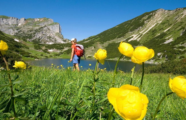Chalet in Reith Near Ski Juwel Alpbachtal - Foto 29
