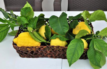 Villa Gesualda - Foto 17