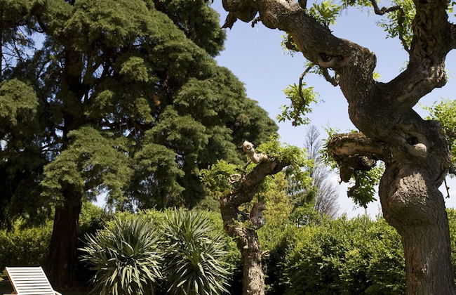 Villa Cassia di Baccano - Foto 46