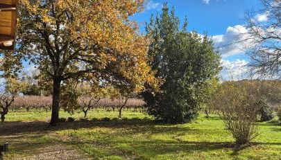 Maison au milieu des vignes - Photo 2, Garden